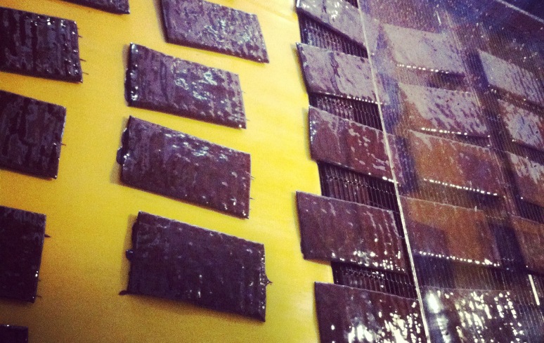 מצות מצופות שוקולד משנות ה-90. צילום: יח"צ