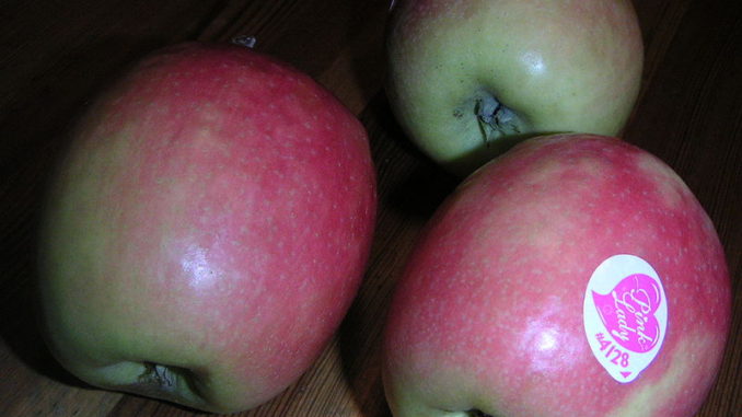 תפוחי פינק ליידי, צילום: zozza ויקימדיה
