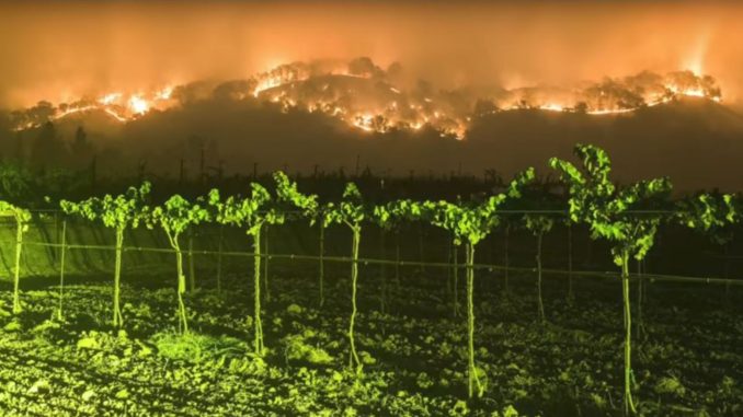 שריפה הכרמים בסונומה ונאפה בקליפורניה (צילום מסך)